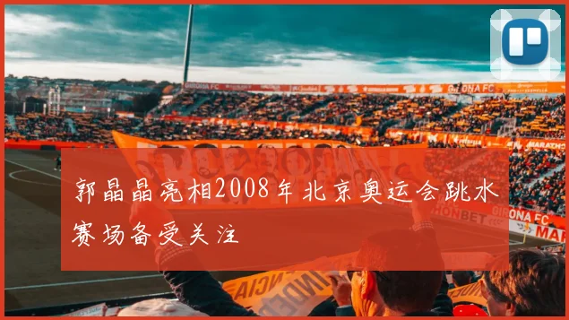 郭晶晶亮相2008年北京奥运会跳水赛场备受关注
